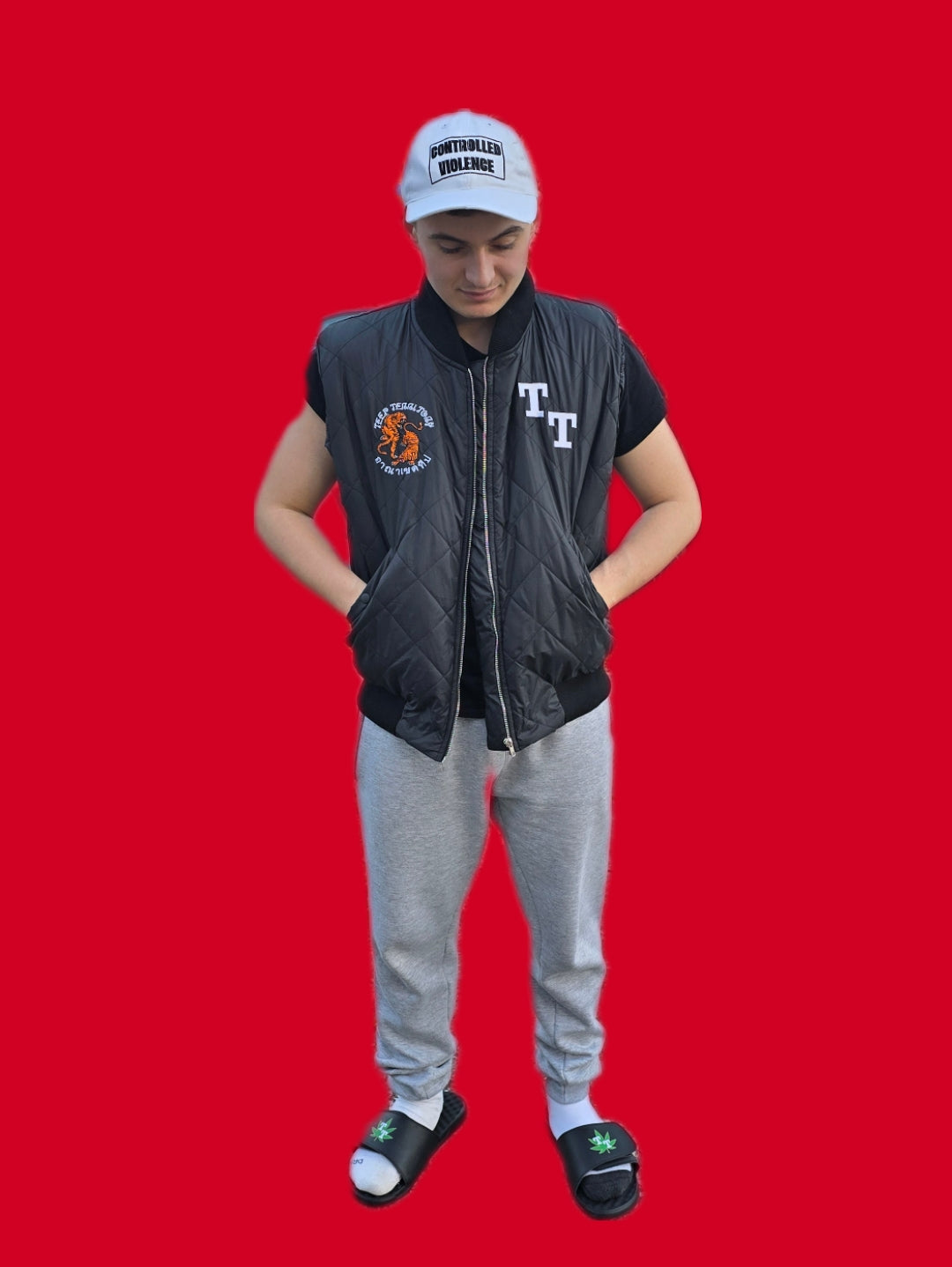 VEST-Controlled Violence