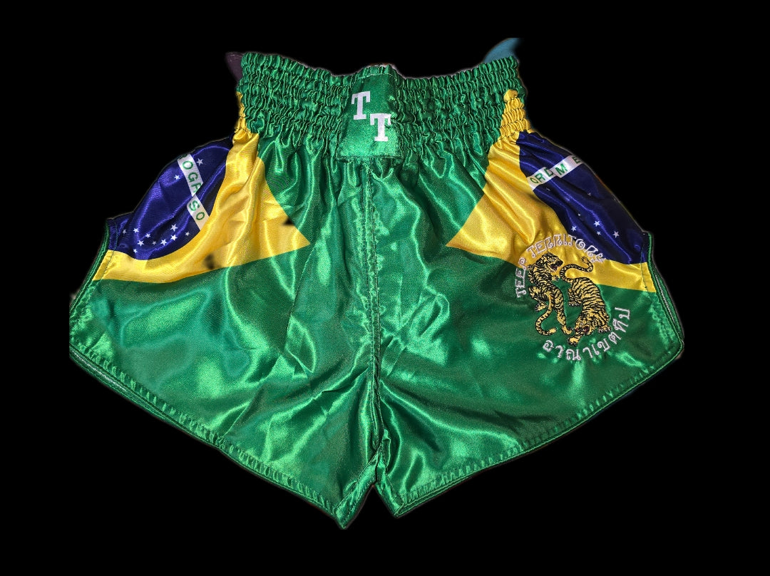 BRAZIL - Muay Thai Shorts