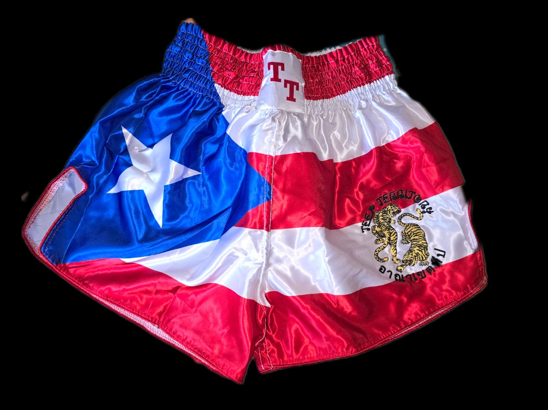 PUERTO RICO - Muay Thai Shorts