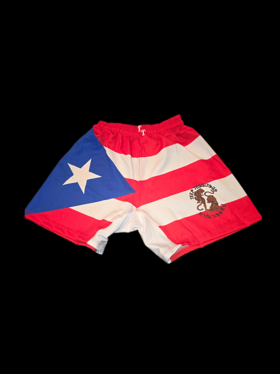 Puerto Rican Flag MMA Shorts