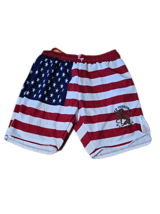American Flag MMA Shorts