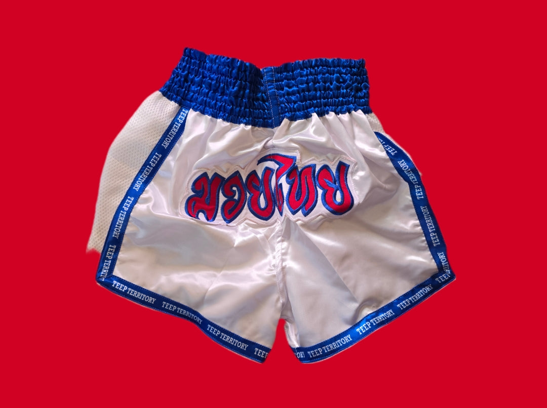 Muay Thai Shorts with  TT FLAG LOGO